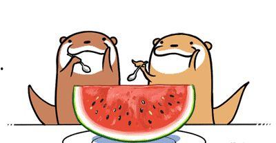 娱乐吃瓜号会不会侵权呢,风险与合规的边界探索